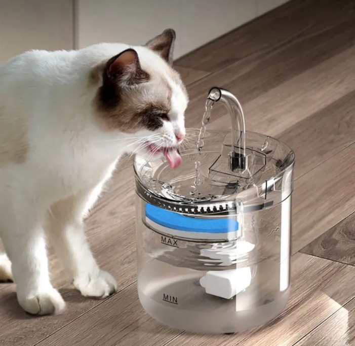 Fuente Transparente de Agua para Gato
